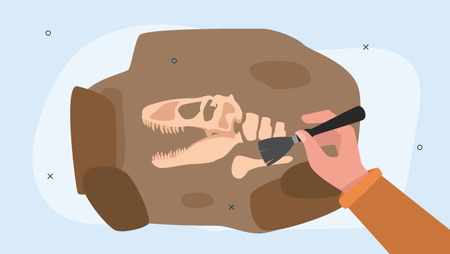How to Become a Paleontologist (Duties, Salary and Steps)