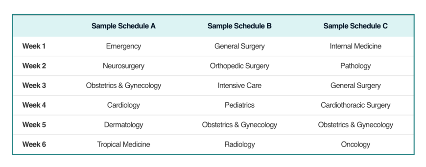 healthcare internship specialty areas