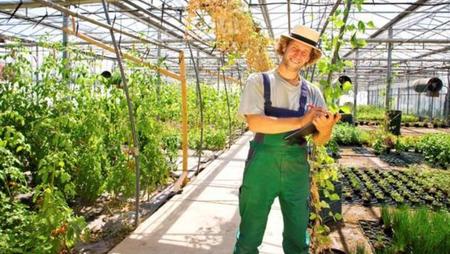 How to Become a Greenhouse Manager in the US