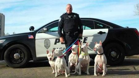 dog officers