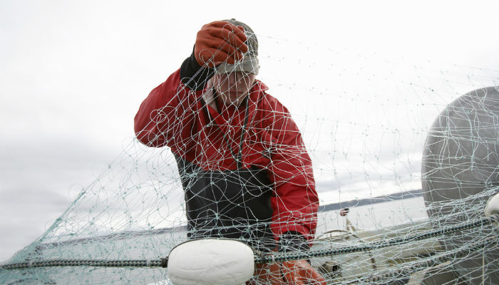A fisherman untangling a fishing net