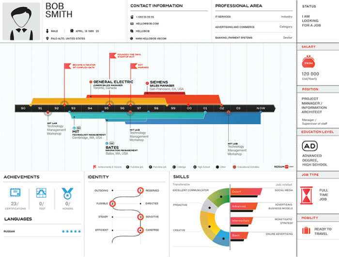 An example of an infographic CV format