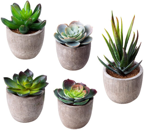 MoonLa Artificial Succulent Plants in gray pots