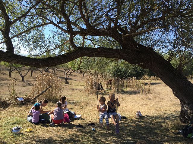 Children attending forest kindergarten