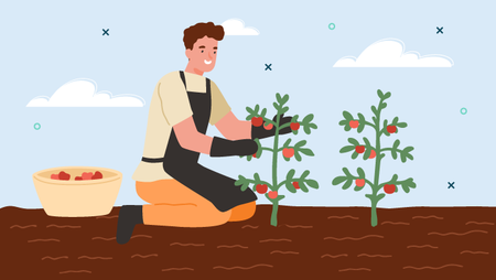 How to Become a Farmer (Duties, Steps and Salary)