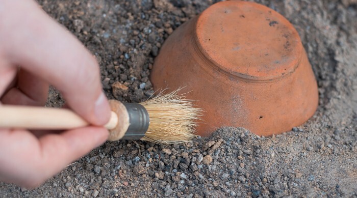 Anthropology and archaeology study