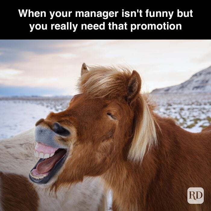 Funny manager meme