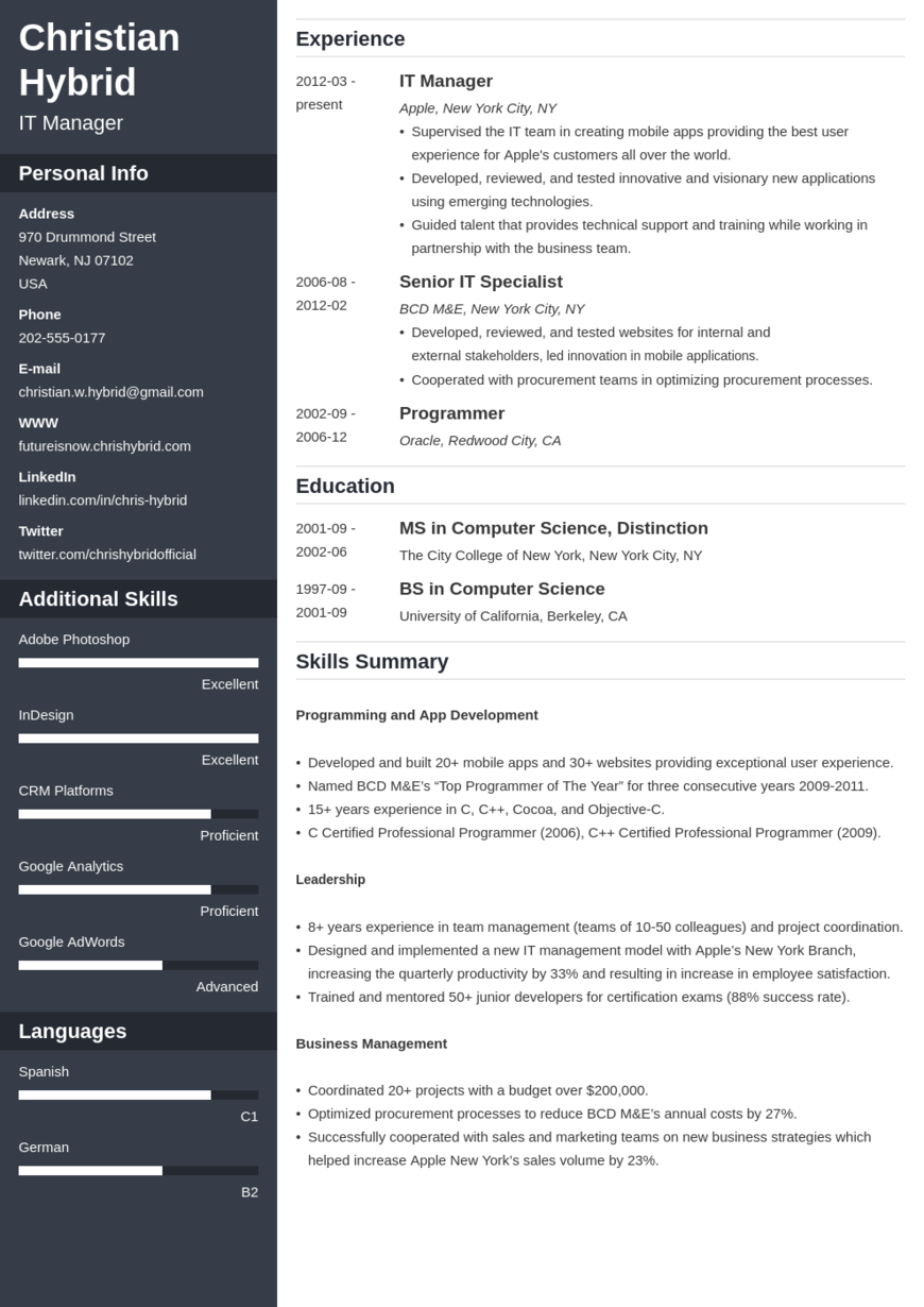 Combination résumé example